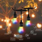 Nexxt Home Nexxt Guirnalda de 24 Focos Inteligentes RGB con Wi-Fi 14.6 Metros-NHB-O100 - Imagen 4