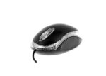 Xtech Mouse Alámbrico USB 1000 DPI Negro-XTM-195 - Imagen 2